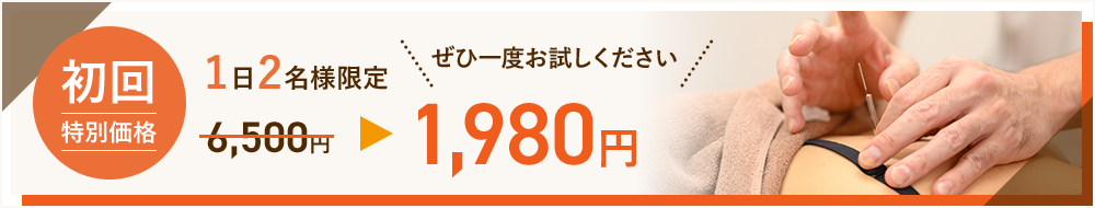 初回特別価格 1日2名様限定 1,980円
